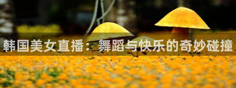 下载咪咕视频体育频道直播：韩国美女直播：舞蹈与快乐的奇妙碰撞