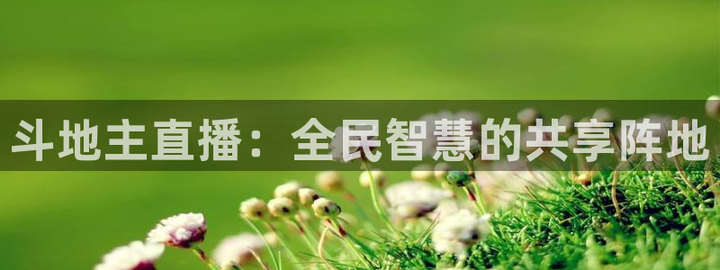 咪咕体育直播在线：斗地主直播：全民智慧的共享阵地
