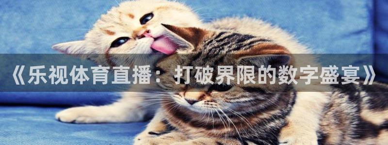 咪咕体育免费直播：《乐视体育直播：打破界限的数字盛宴》