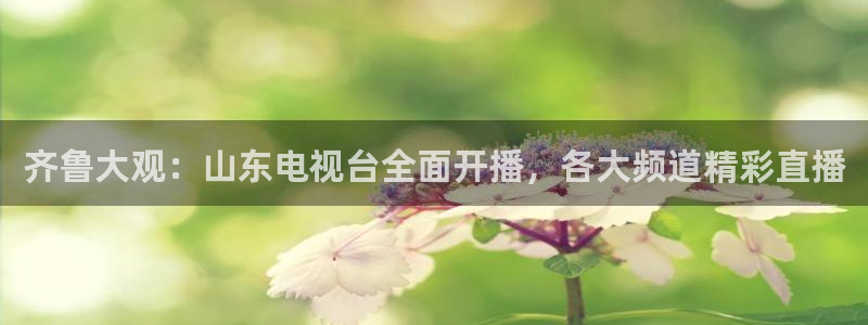 咪咕视频体育频道：齐鲁大观：山东电视台全面开播，各大频道精彩直播